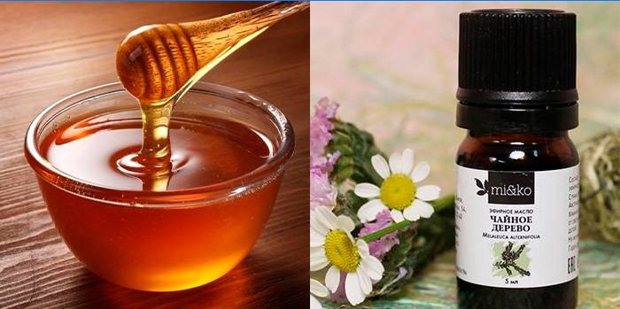 Árbol de té miel y aceite