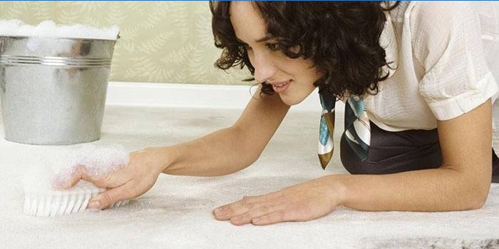 Niña limpia la alfombra del olor a orina
