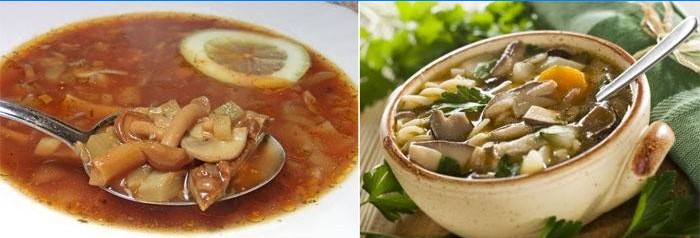 Sopa con champiñones - batiburrillo para vegetarianos