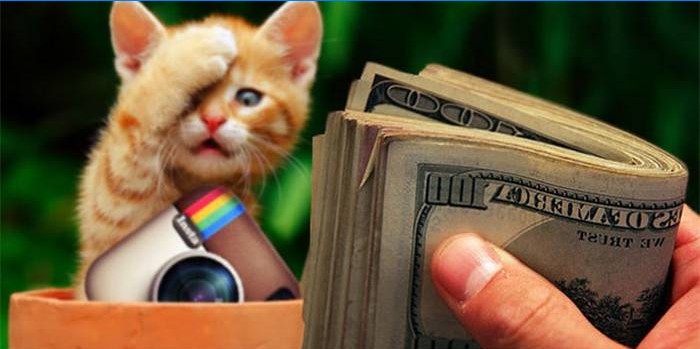 Gatito, icono de instagram y dinero en mano