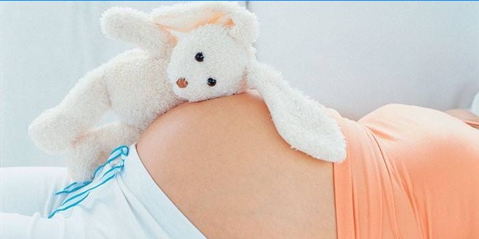 Los beneficios y contraindicaciones de los arándanos durante el embarazo.