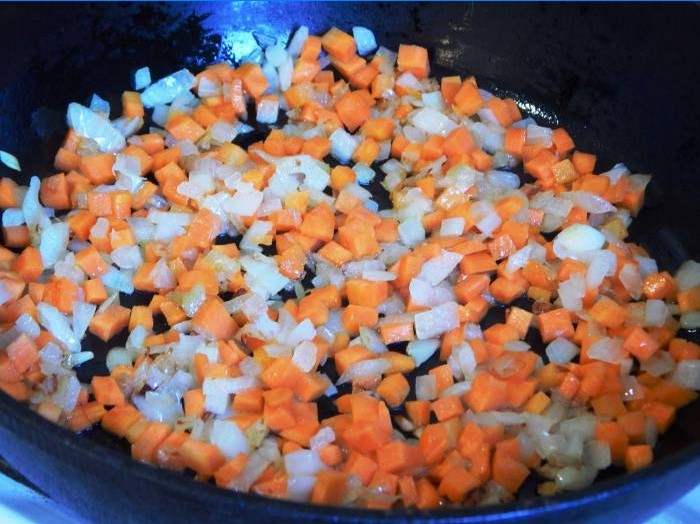 Cebolla con zanahorias