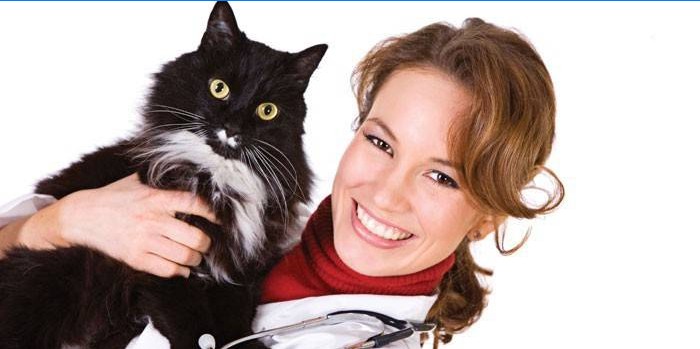 Veterinario sostiene un gato en sus brazos