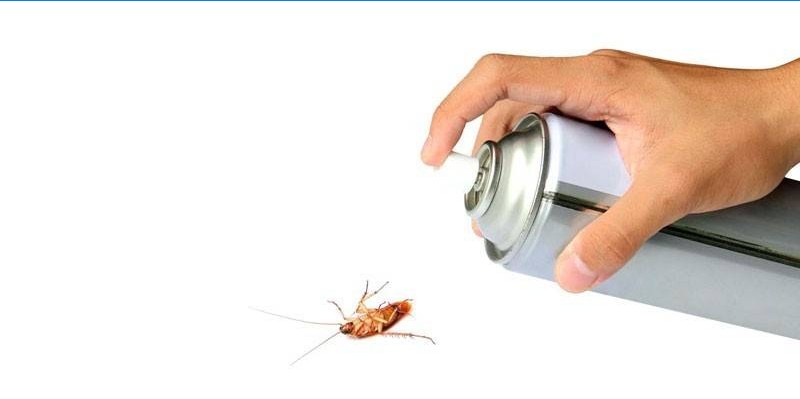 Cucaracha spray en mano