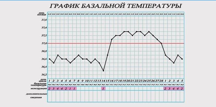 Gráfico de temperatura basal para determinar el embarazo.