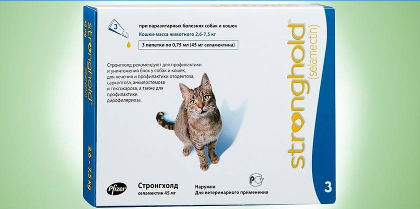 Medios para gatos Selamectina