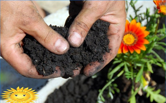 Agricultura ecológica: deje de triturar el suelo cavando y desyerbando
