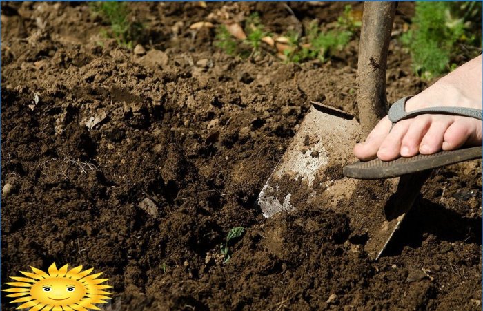 Agricultura ecológica: deje de triturar el suelo cavando y desyerbando