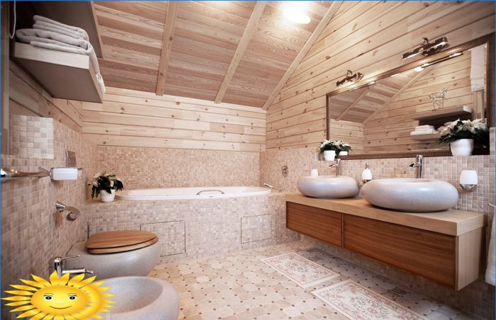 Opciones de diseño de techo en el baño.