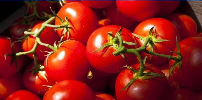 Tomates Yablonka de Rusia
