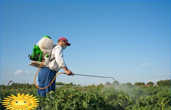 Agricultura ecológica: protección biológica contra plagas y malas hierbas