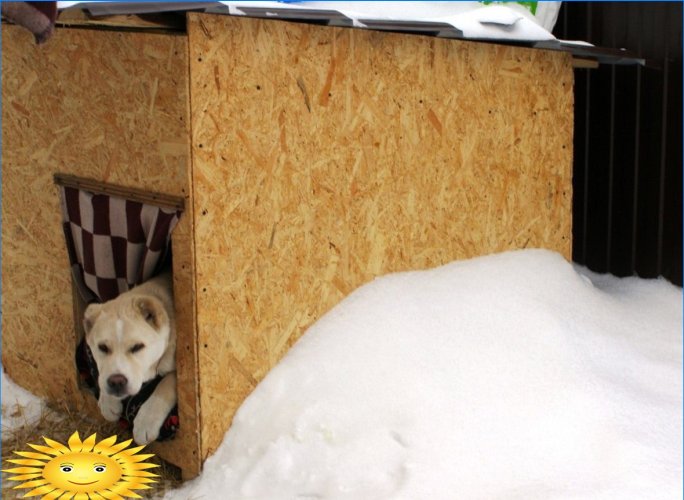 Casa de perro de invierno