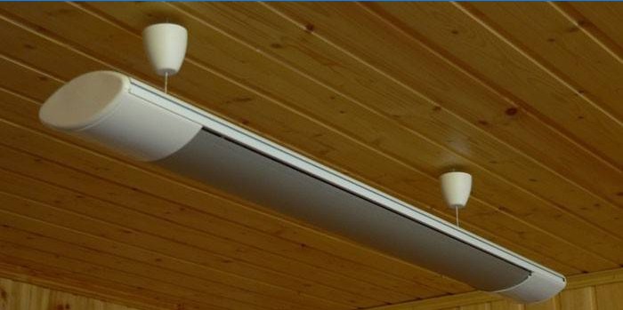 Calentador infrarrojo EcoLine con sistema de montaje en techo
