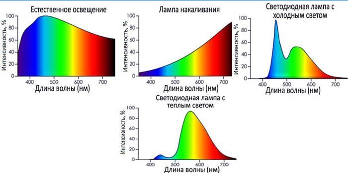 La intensidad de radiación de diferentes fuentes de luz.