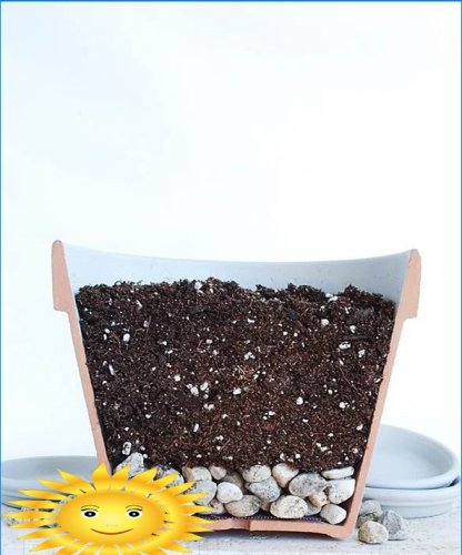 Drenaje y suelo en una maceta para cultivar vegetación en el alféizar de una ventana