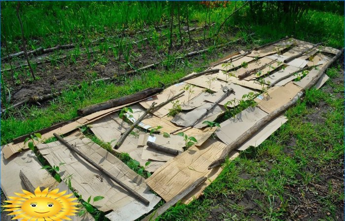 Agricultura ecológica: cómo crear camas inteligentes