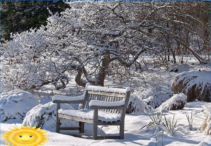 Calendario de invierno del jardinero y el jardinero.