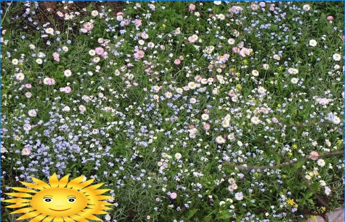 Césped morisco - prado de flores artificiales