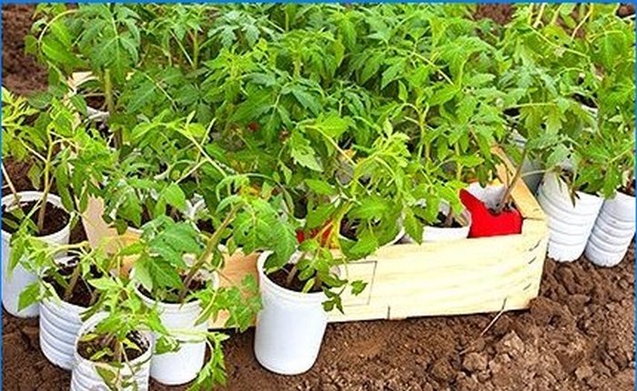 Cómo cultivar hortalizas tempranas sin invernadero
