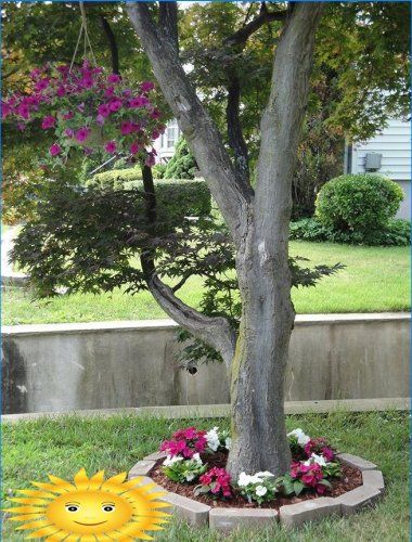 Cómo decorar troncos de árboles en tu jardín