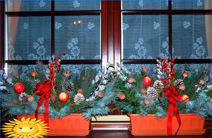 Cómo decorar ventanas para el Año Nuevo: ejemplos de fotos
