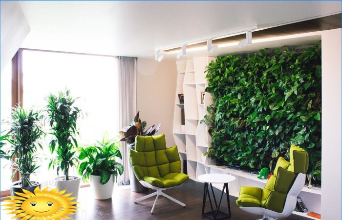 Pared ecológica - jardín vertical en el apartamento