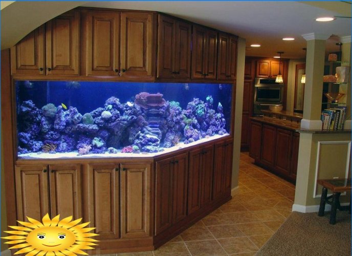 El reino submarino en tu hogar: un acuario en el interior