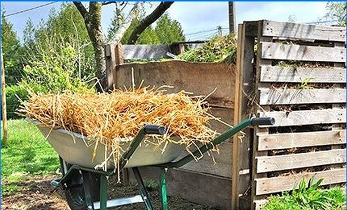 Elegir el fertilizante óptimo para su jardín