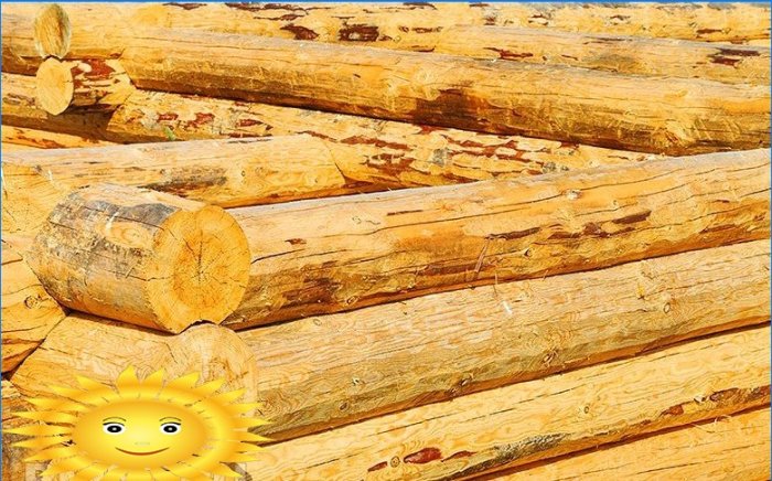 Elegir una casa de troncos para una casa de madera.