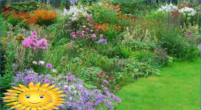 Equipamos un jardín de flores en el sitio: elija la mejor opción