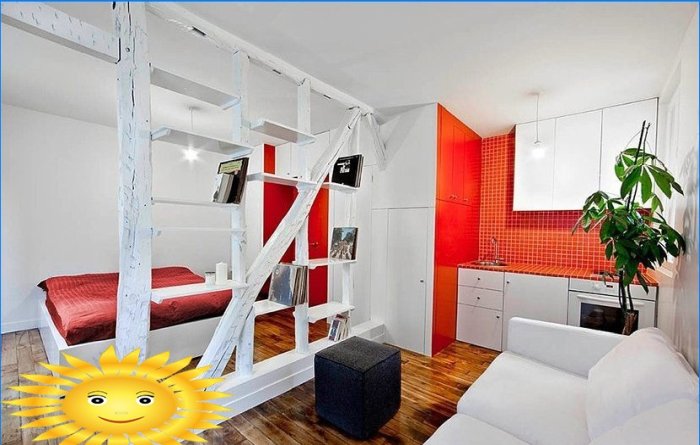 Zonificación funcional del espacio con muebles en un apartamento de una habitación.