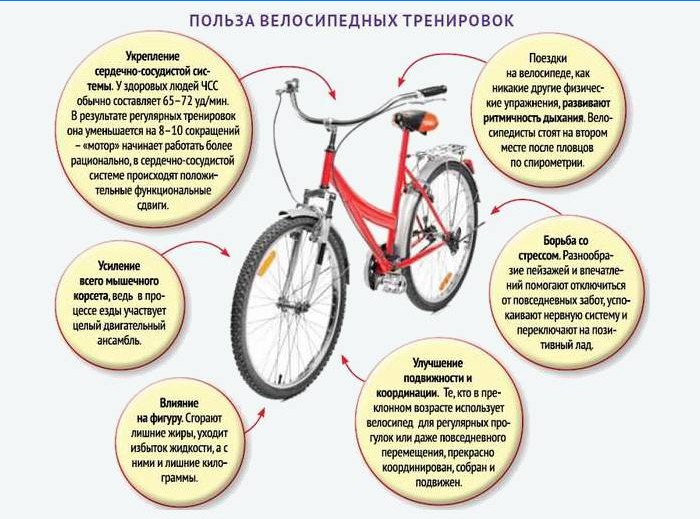 Los beneficios del ciclismo