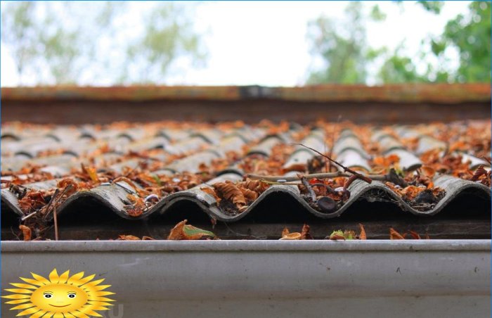 Protección de cubiertas de techo contra musgo y suciedad