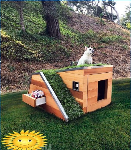 Eco-box para perro de la empresa Schicketanz