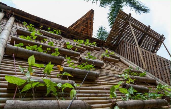 Un jardín vertical en la fachada de una casa de bambú BB Home