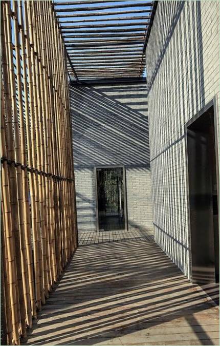 Proyecto de casa privada moderna con patio de bambú
