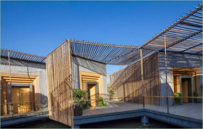Diseño moderno de casa con patio de bambú