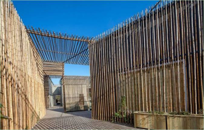 Casa con patio de bambú de diseño moderno