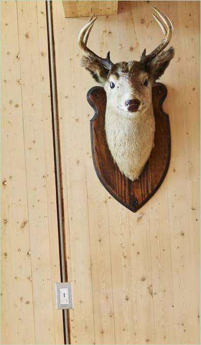 Residencia de madera contralaminada - una cabeza de ciervo (espantapájaros) en la pared como complemento perfecto del interior