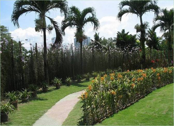 Jardín de orquídeas en Kuala Lumpur