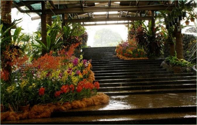 Jardín de orquídeas de Kuala Lumpur