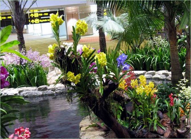 Jardín de orquídeas en Kuala Lumpur