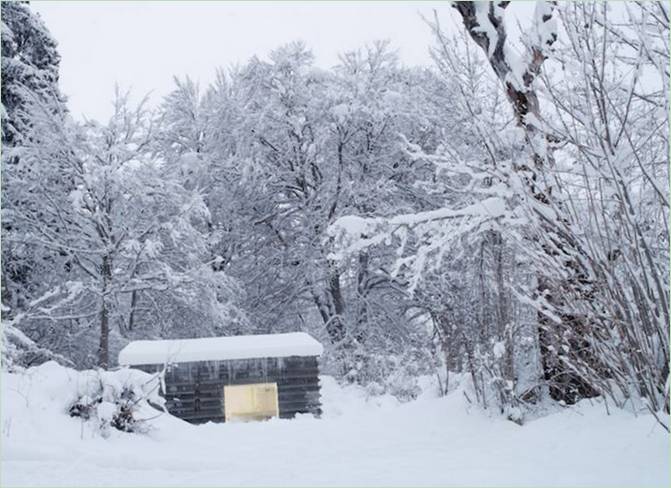 Una casa con chimenea en un bosque nevado