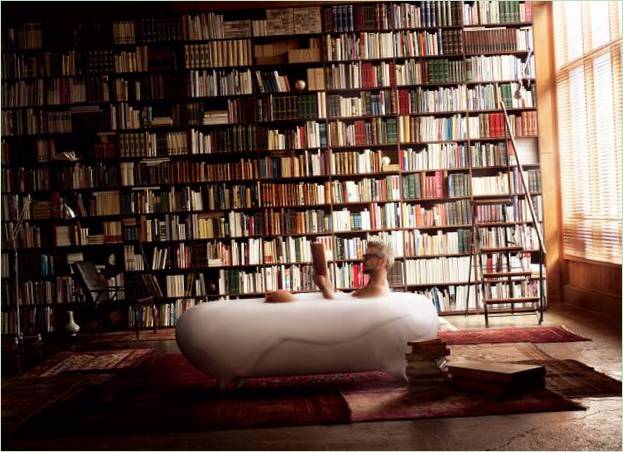 Thin house design: un cuarto de baño en una biblioteca