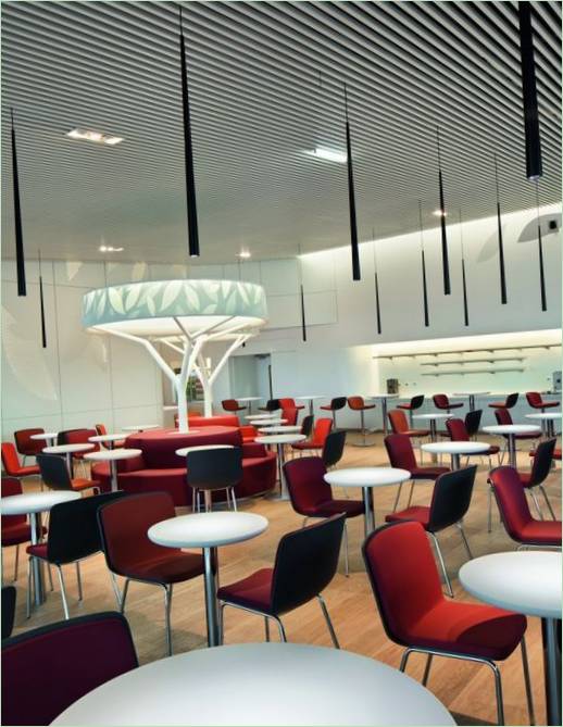 Sala VIP del aeropuerto: una cafetería con sillas rojas